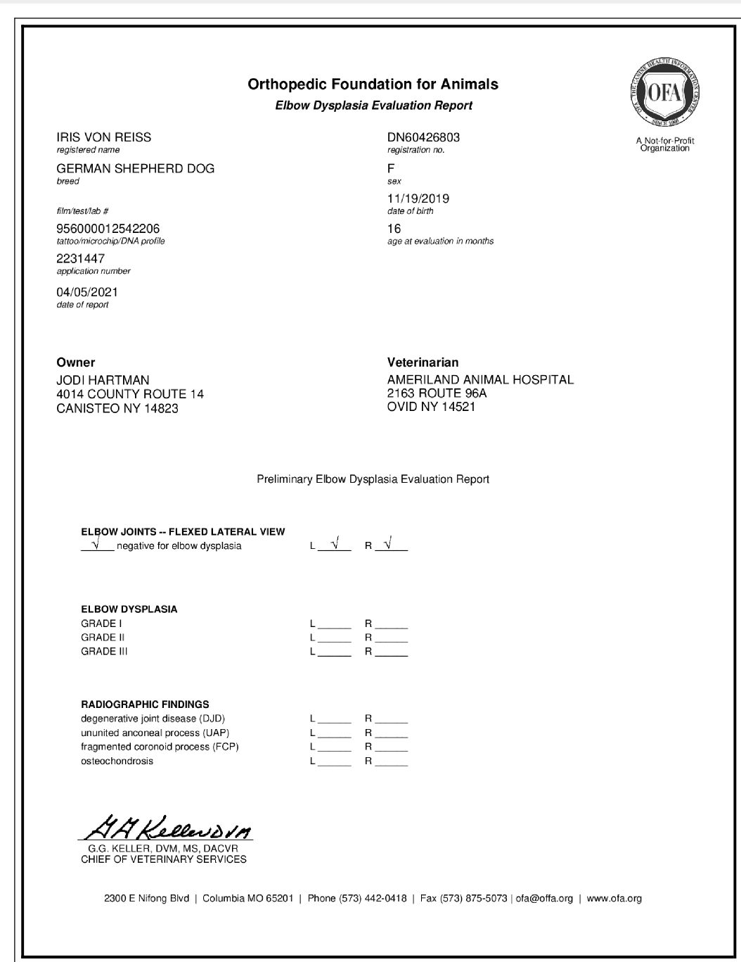 IRIS-Elbow-Certificate