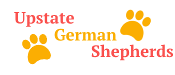 Upstate German Shepherds